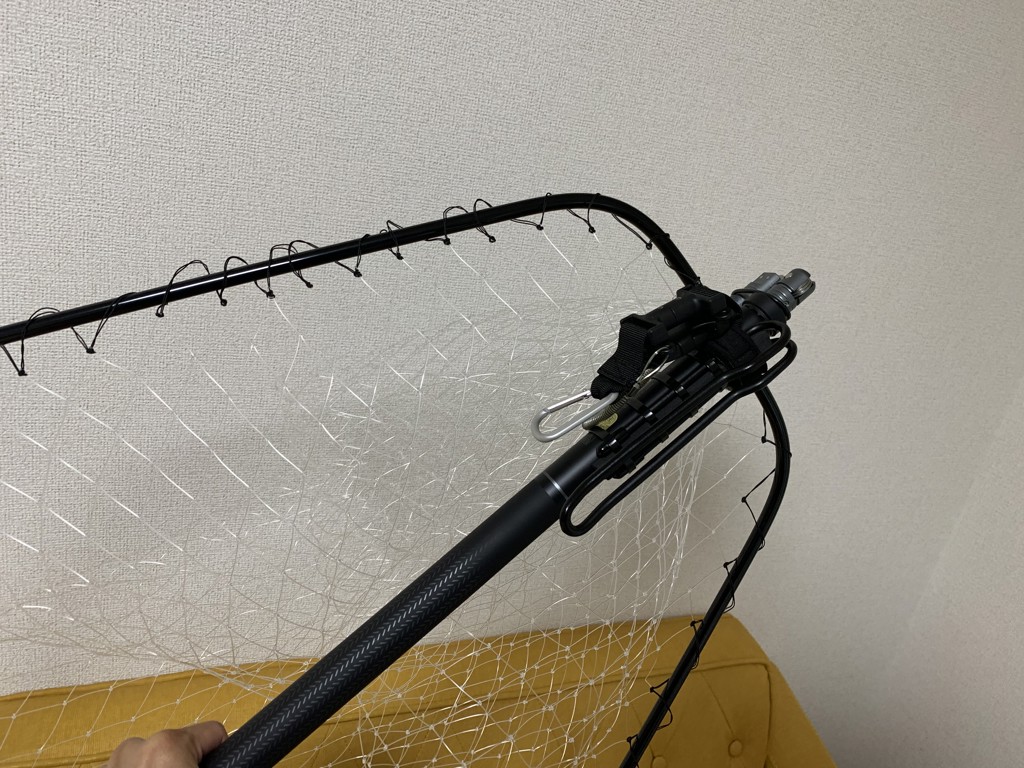 投稿写真