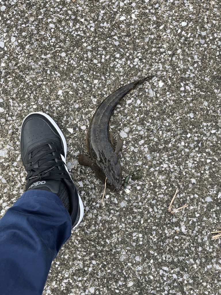 ユーザー写真