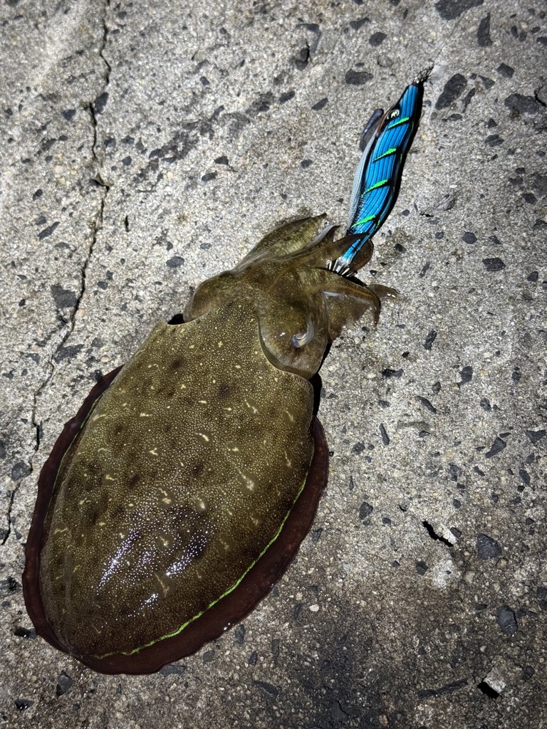 ユーザー写真