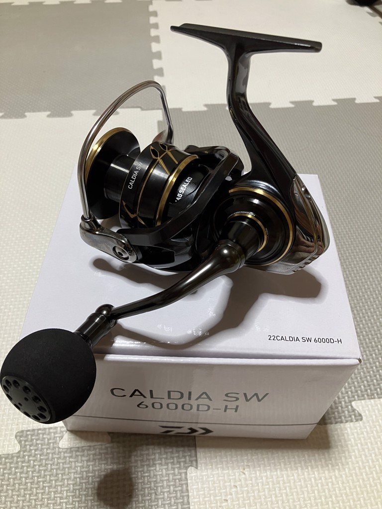 ダイワ DAIWA カルディアSW 6000-H - リール