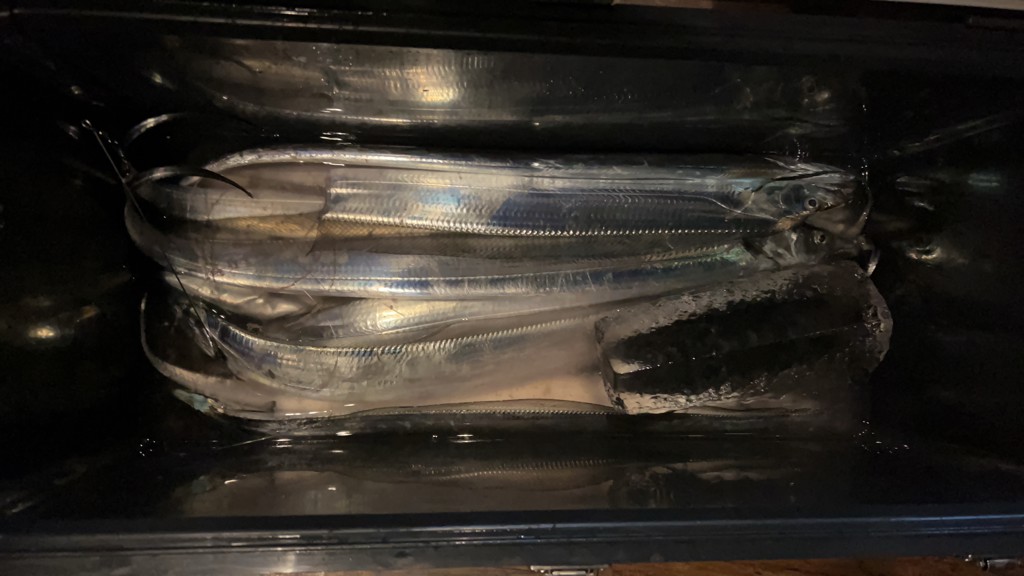 伝衛門丸 舷天 ライトII タチウオテンヤ 82-185 - 釣具の