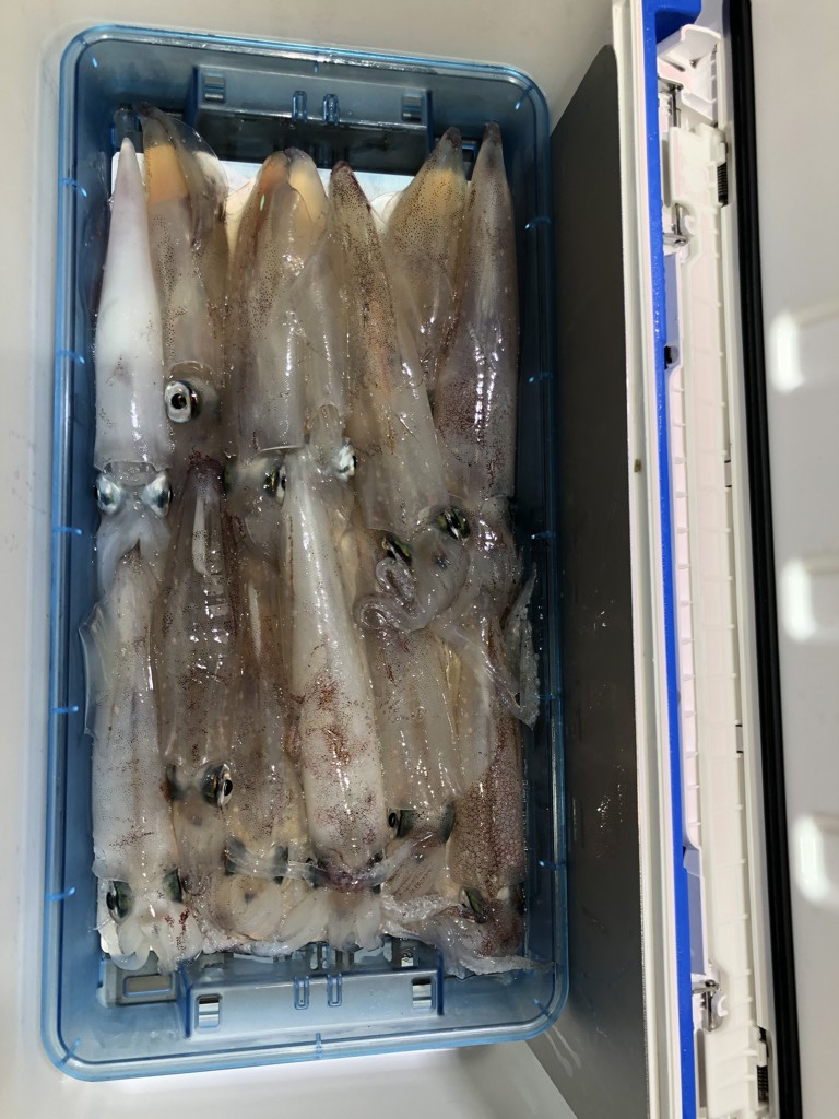 ユーザー写真