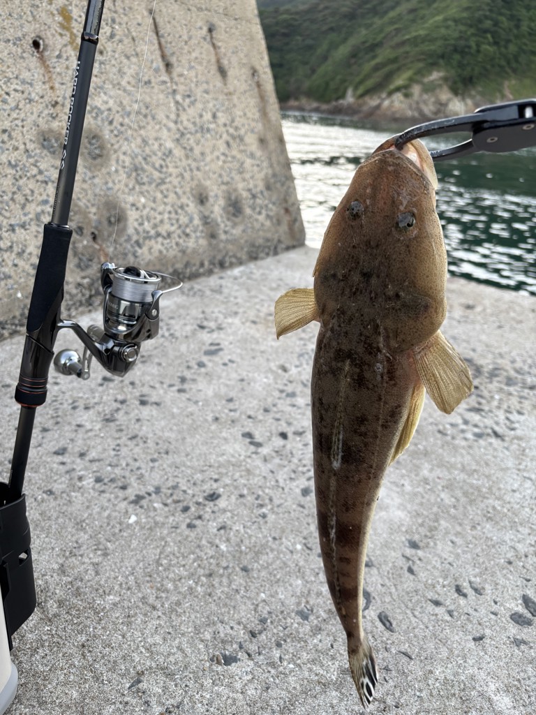 シマノ ハードロッカー SS S78MH+ スピニング 22年モデル - 釣具の