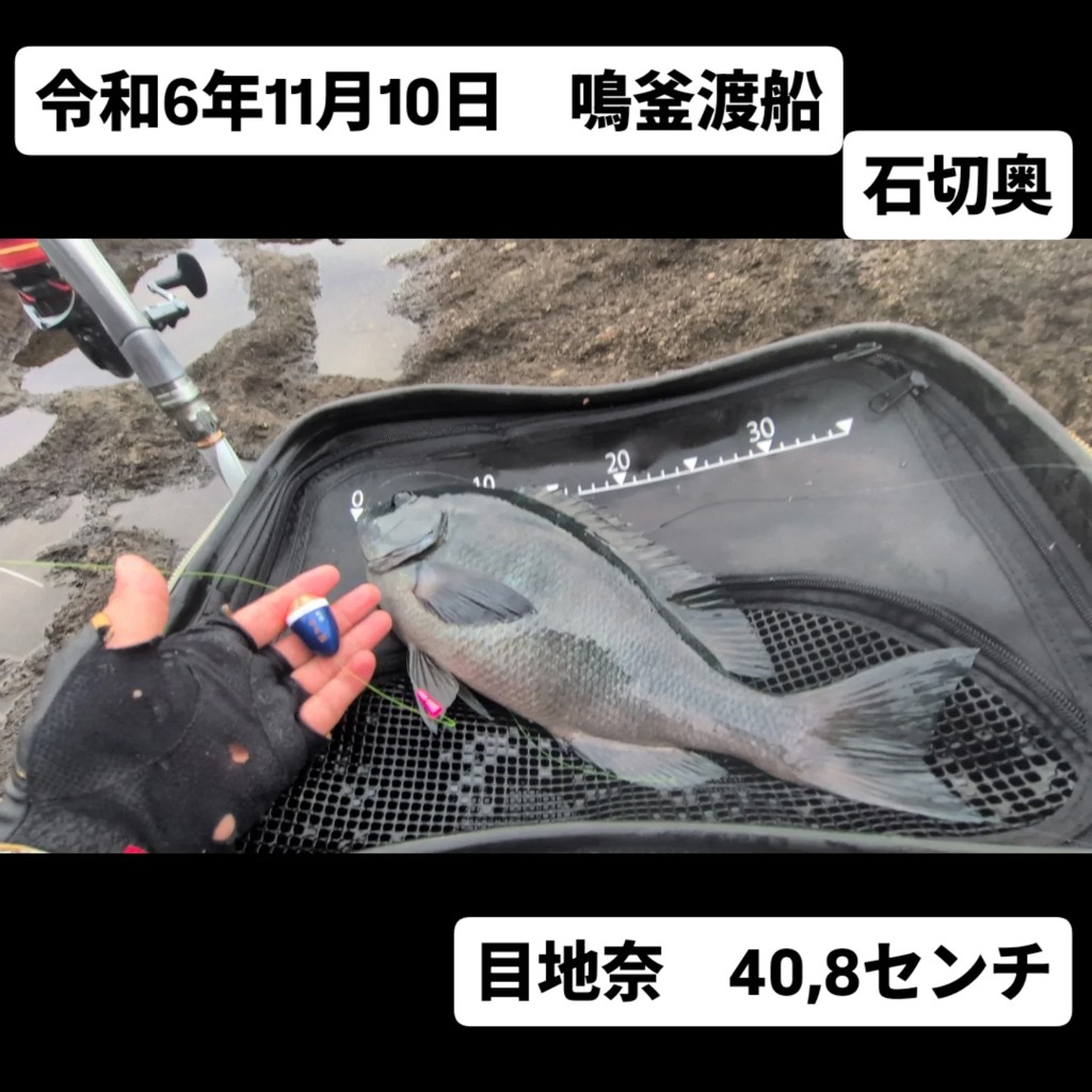 ダイワ 24 トーナメント磯AGS L-50 - 釣具のポイント 【公式