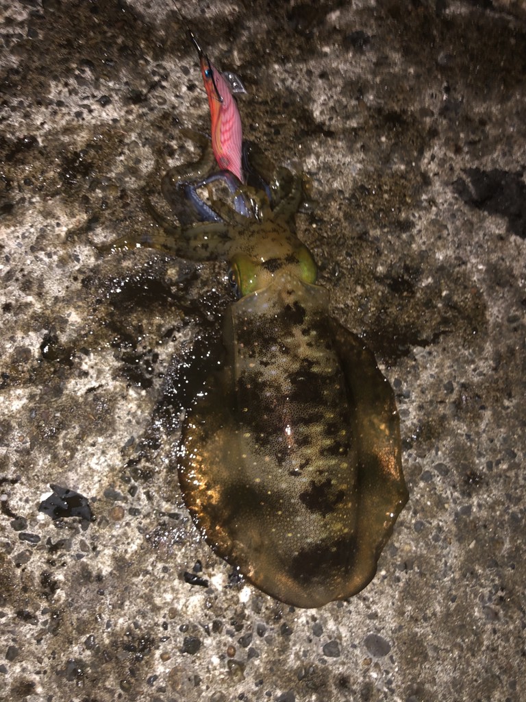 ユーザー写真
