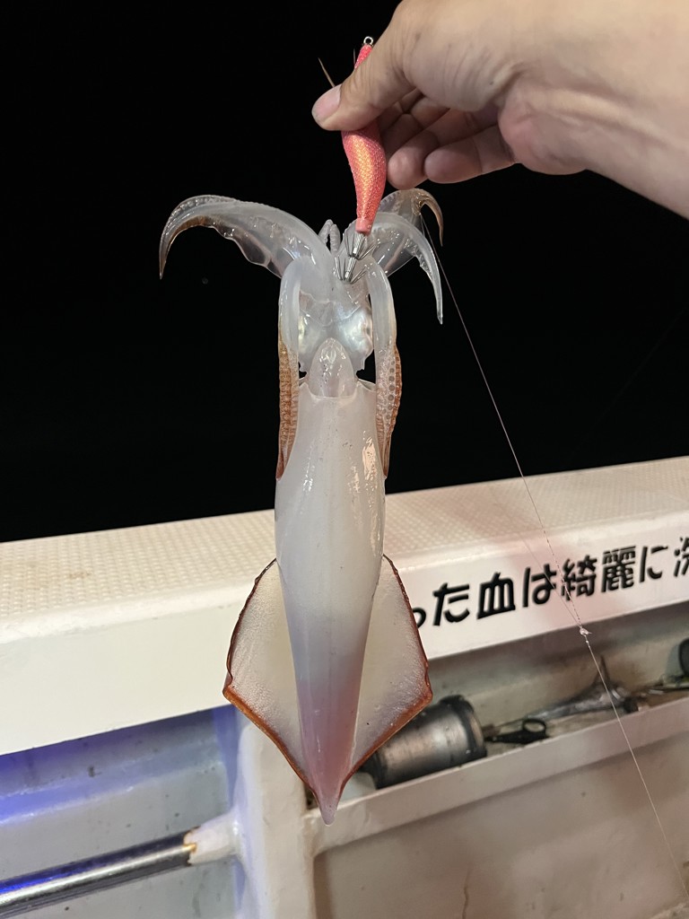 投稿写真