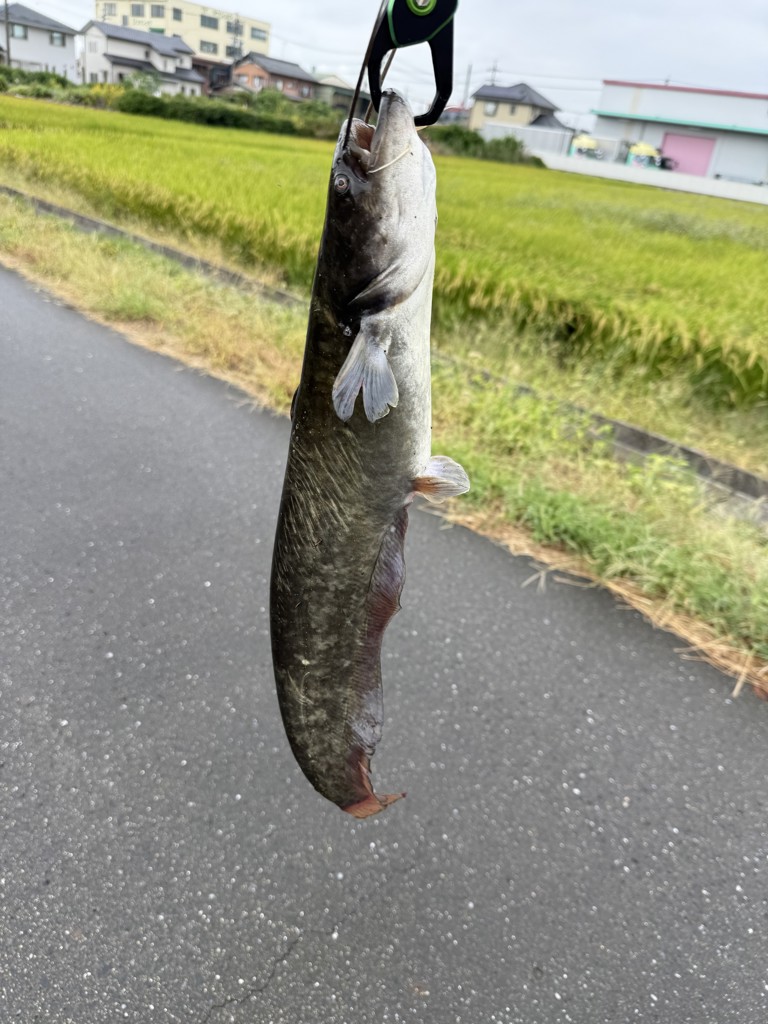 ユーザー写真
