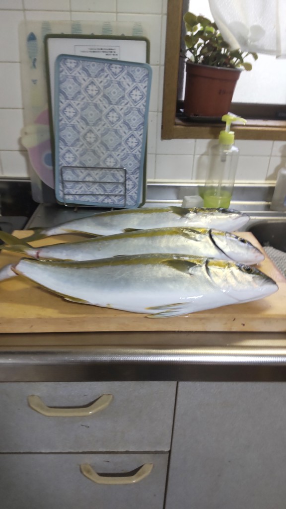 シマノ ゲーム タイプ LJ B65-0/FS [2021年モデル] - 釣具のポイント