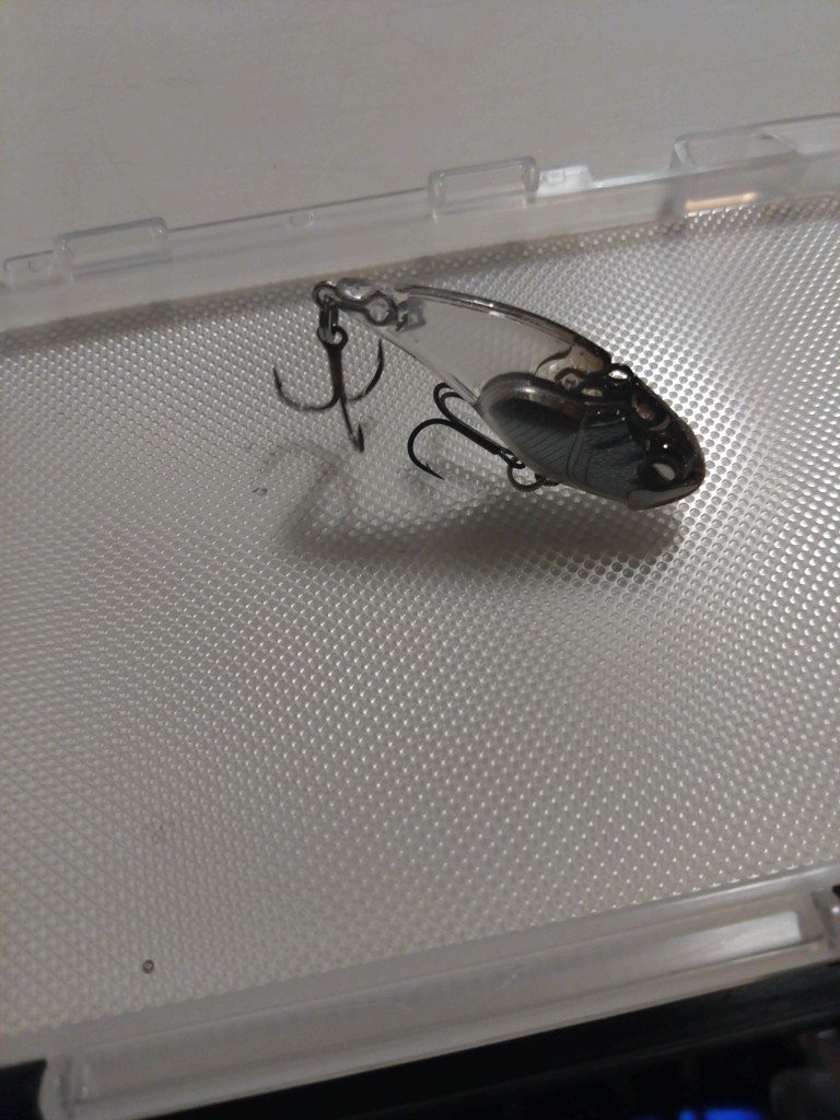 投稿写真