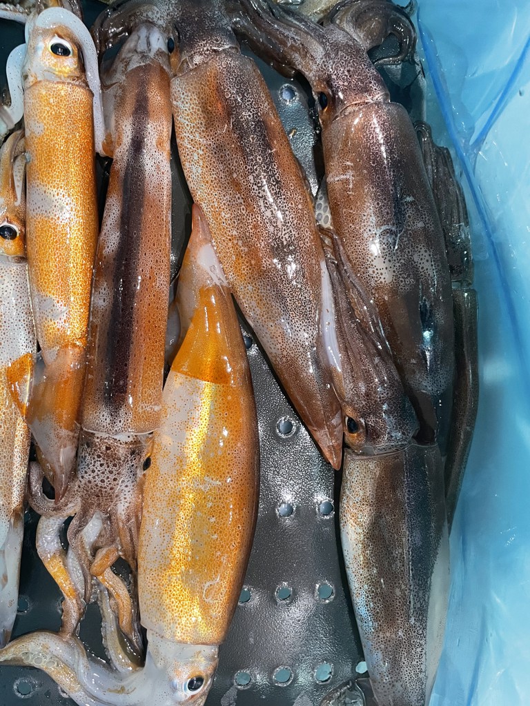 投稿写真