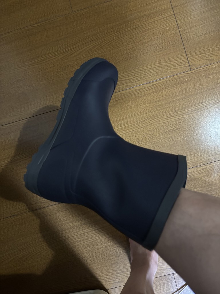 投稿写真