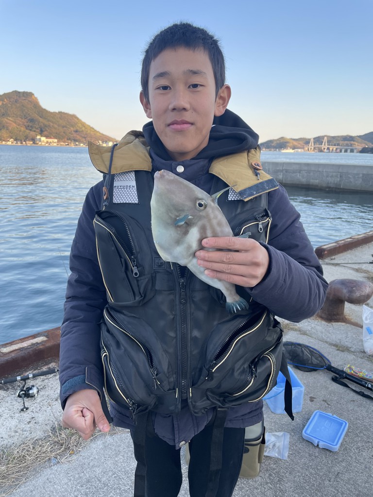 投稿写真