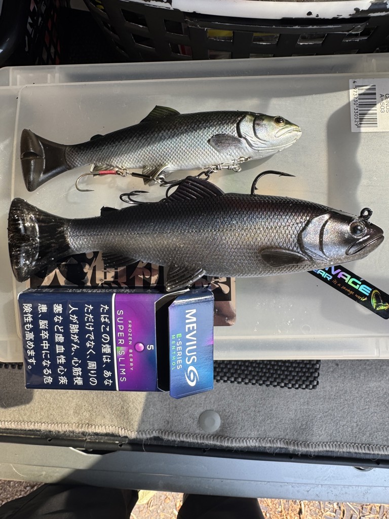 ユーザー写真