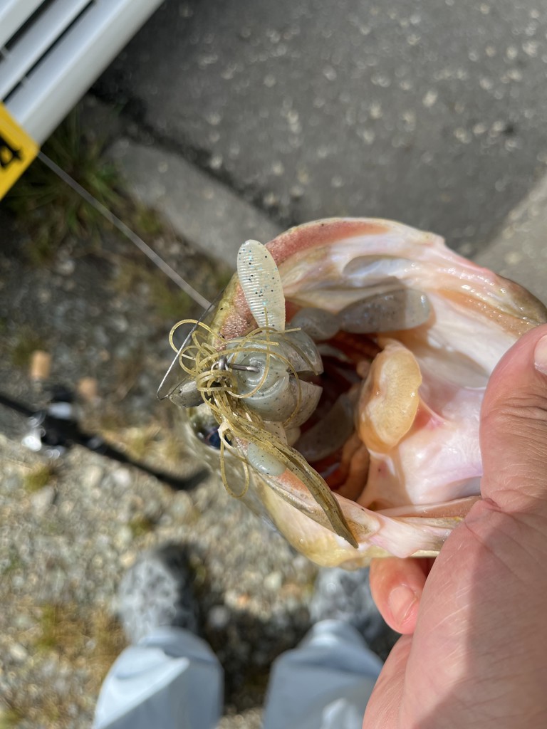 ユーザー写真