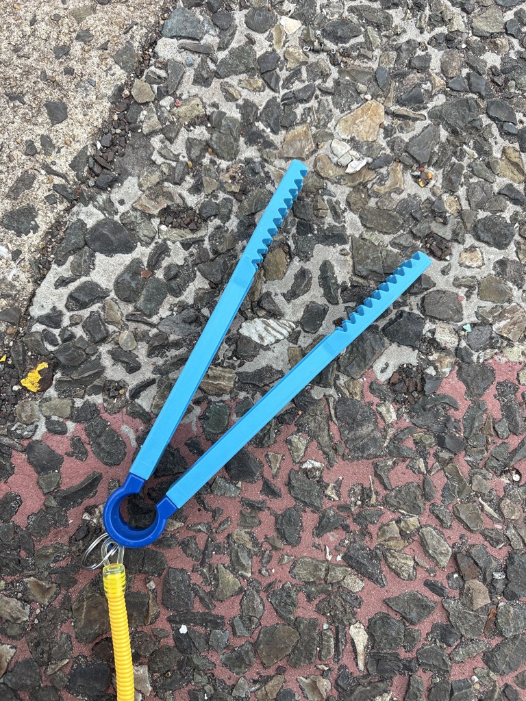 投稿写真