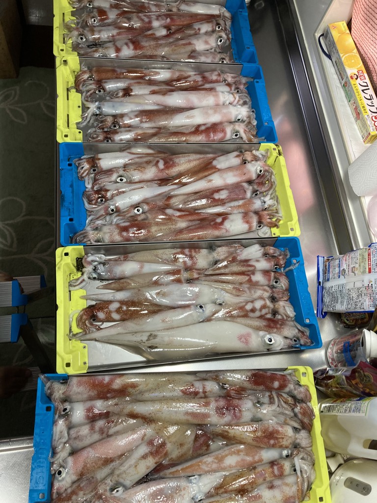 ユーザー写真