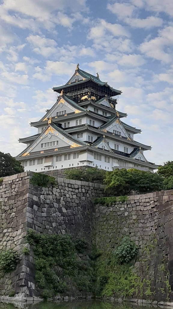 投稿写真