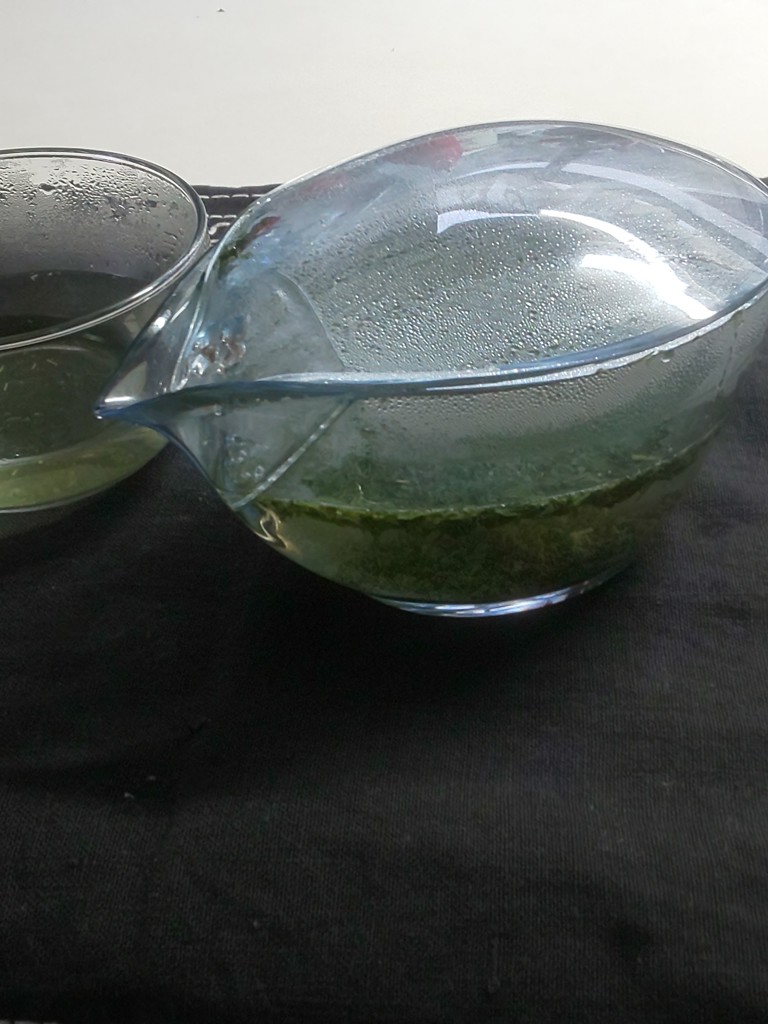投稿写真