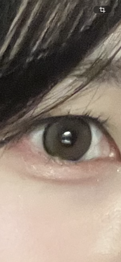投稿写真