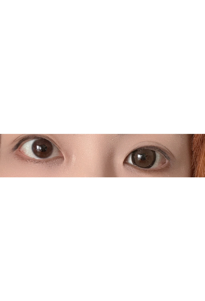 投稿写真