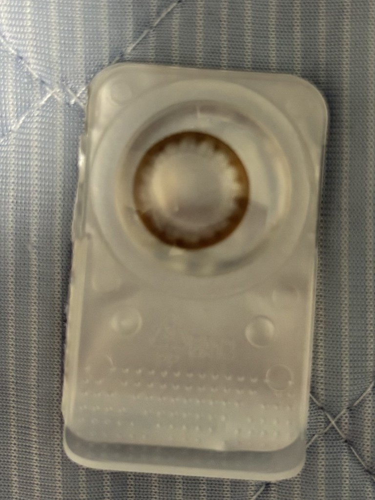 投稿写真