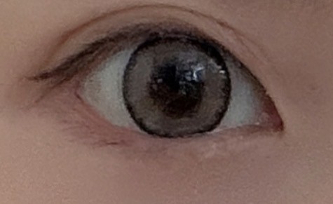 投稿写真