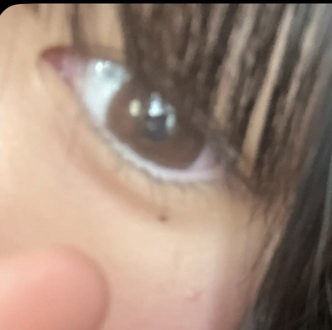 投稿写真