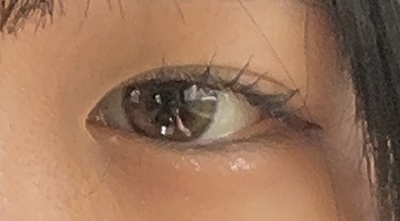 投稿写真