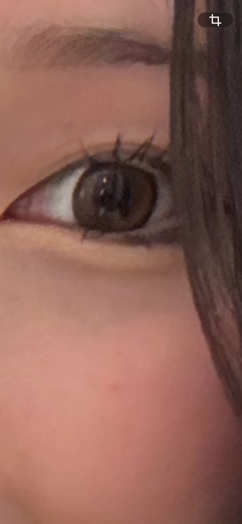 投稿写真