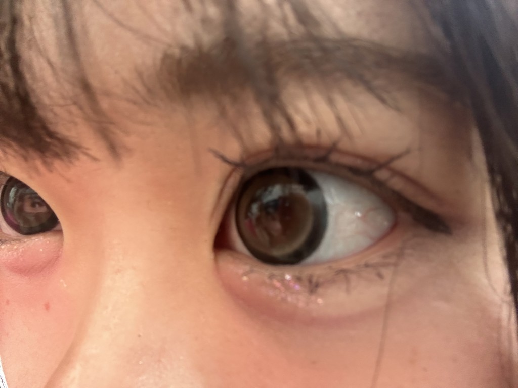 投稿写真