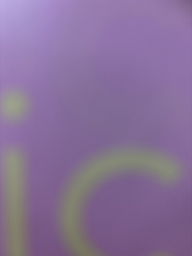 投稿写真