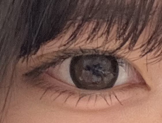 投稿写真