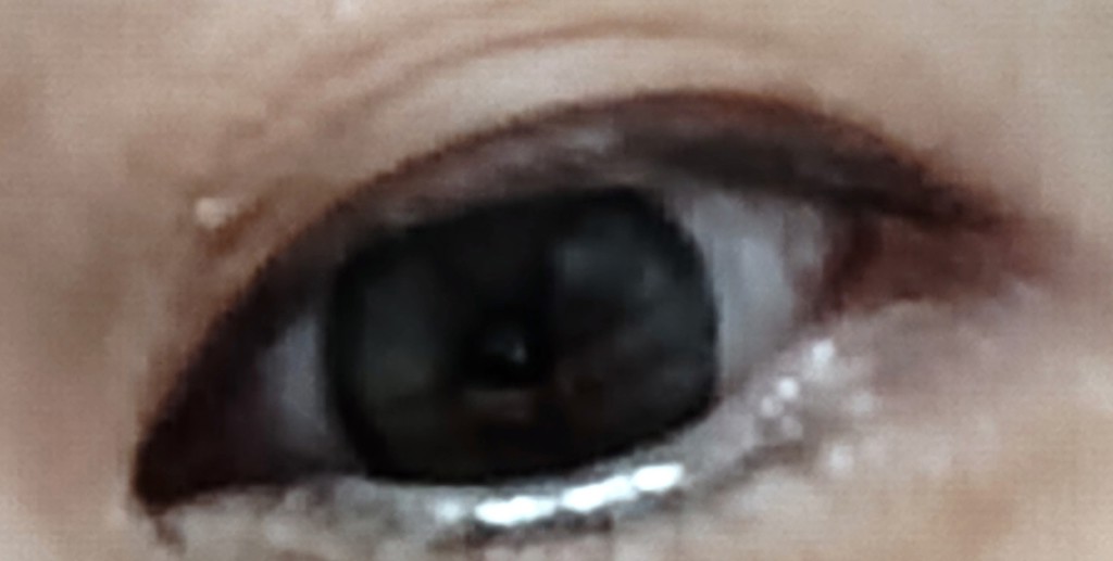 投稿写真