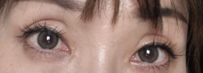 投稿写真