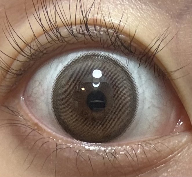 投稿写真