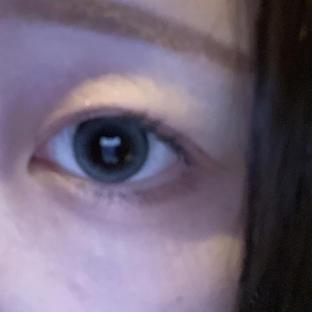 投稿写真