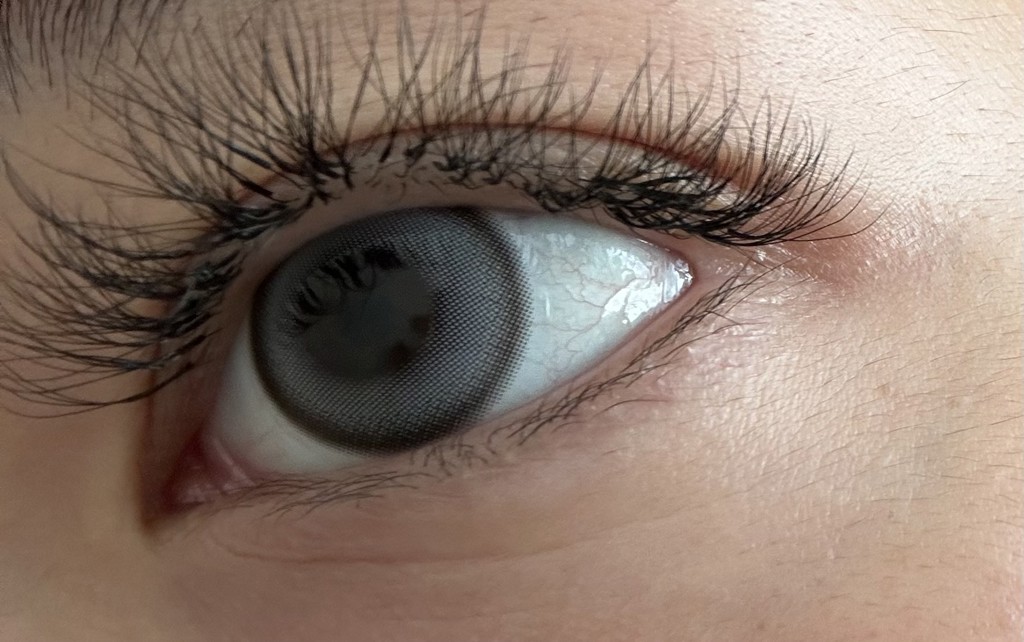 投稿写真