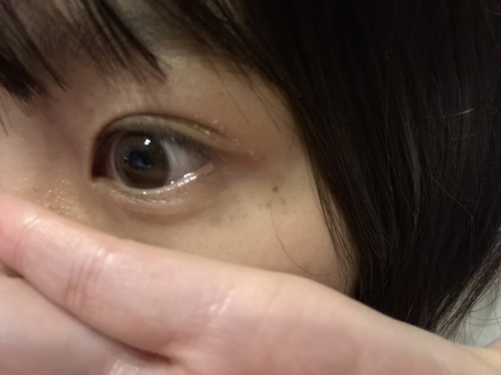 投稿写真