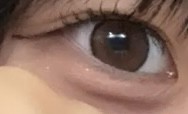 投稿写真