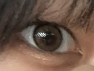 投稿写真