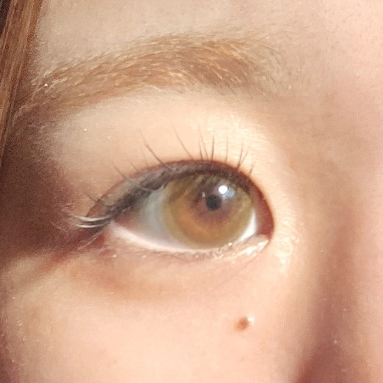 投稿写真