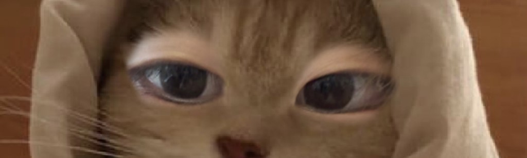 投稿写真
