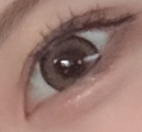 投稿写真