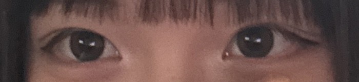 投稿写真