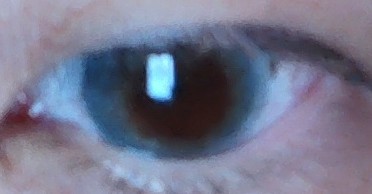 投稿写真