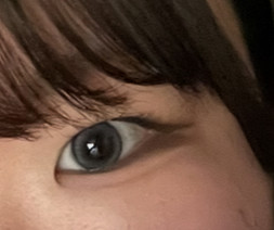 投稿写真