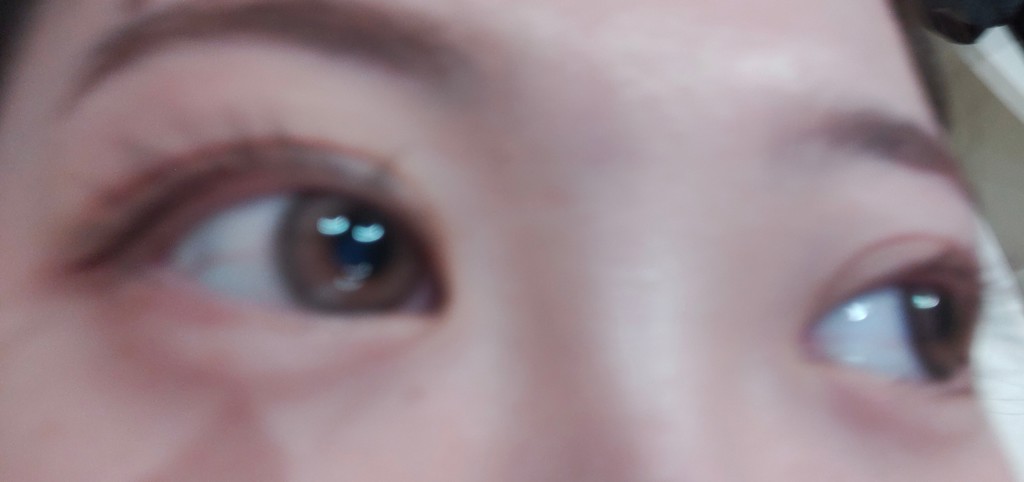 投稿写真