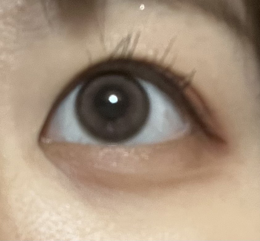 投稿写真