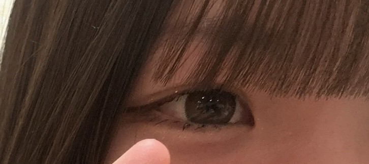 投稿写真