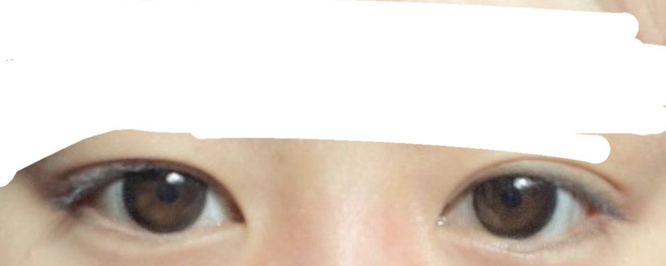 投稿写真